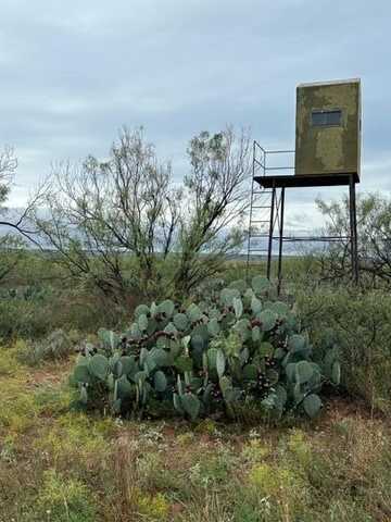 County Rd 343, Colorado City, TX 79512