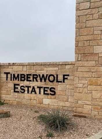 3813 Timber Wolf Trail, Midland, TX 79705