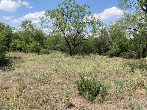 Tbd Merrick Rd, Big Spring, TX 79720