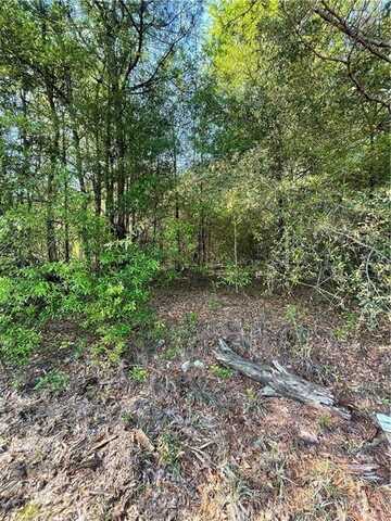 0 County Rd 24, Seale, AL 36875