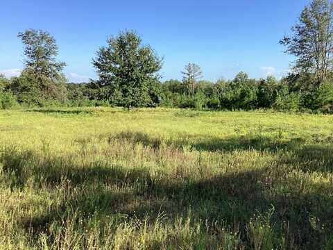 500 Pond Creek Rd, Luverne, AL 36049