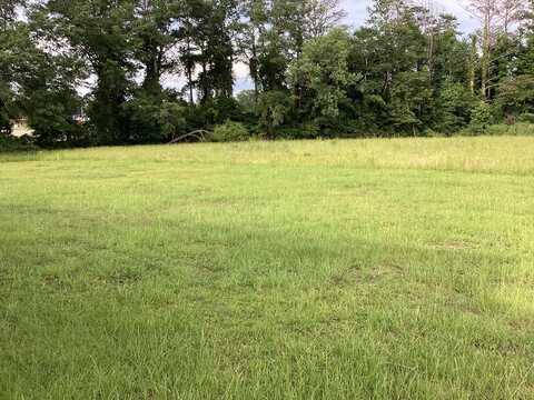 1253 S Forest Ave, Luverne, AL 36049