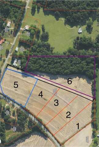 0000 AL 125 Hwy Lot 4, Brundidge, AL 36010