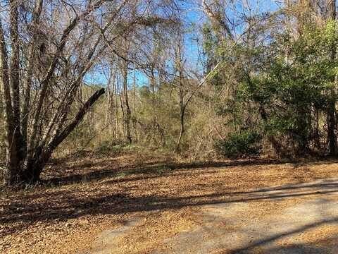 Lot #37 Pine Ridge Estates, Troy, AL 36081