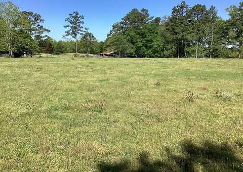 4837 Quail Tower Rd, Luverne, AL 36049