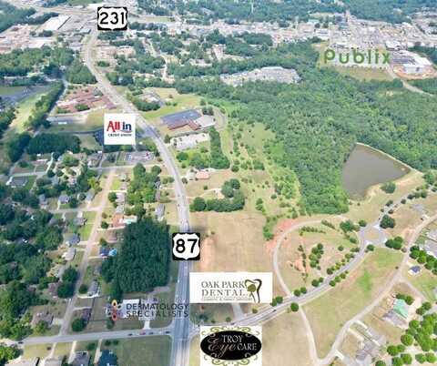 Lot 4 Highway 167, Troy, AL 36079