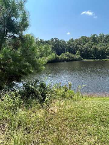 Lot 1 Live Oak Drive, Troy, AL 36081