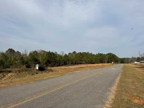 O county road 322, Elba, AL 36323