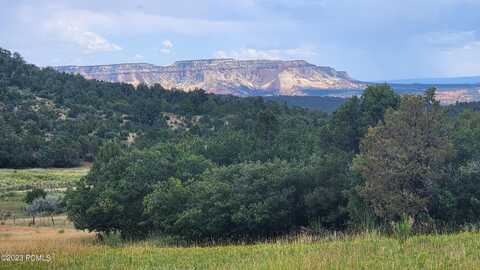 Mineral Springs Road, Mount Carmel, UT 84755