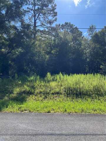 SW 201ST AVE, DUNNELLON, FL 34431