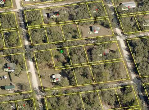 35406 HOLMES STREET, WEBSTER, FL 33597