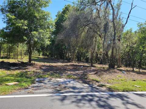 3.5 Acres PROSPECT ROAD, DADE CITY, FL 33525