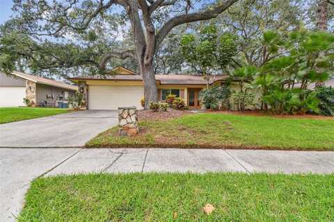 5 FERNERY LANE, SAFETY HARBOR, FL 34695