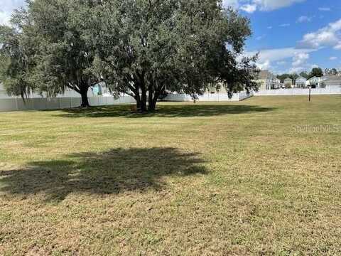 NE 81ST BOULEVARD, WILDWOOD, FL 34785