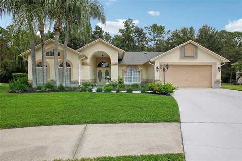 4870 BASSWOOD STREET, LAND O LAKES, FL 34639