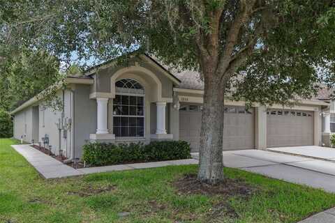 1252 BENSBROOKE DRIVE, WESLEY CHAPEL, FL 33543