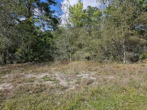 10391 FULTON AVENUE, WEEKI WACHEE, FL 34613