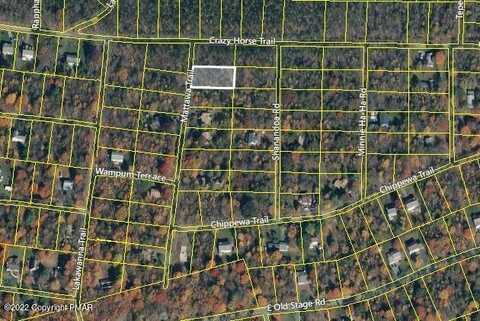 Mattawa Trail, Albrightsville, PA 18210