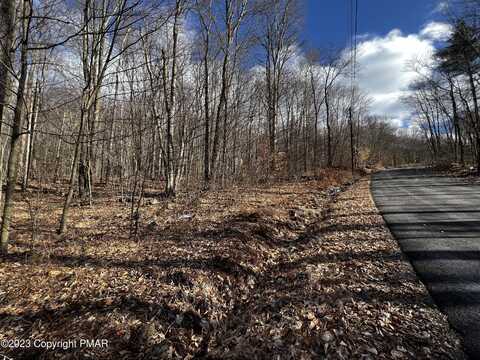 1127 Riverside Heights W, Pocono Lake, PA 18347