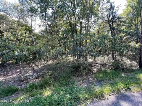 Ev1094 Petrarch Trail, Albrightsville, PA 18210