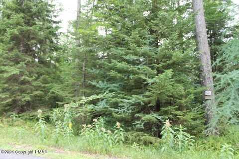 517 E Forest Road, Pocono Lake, PA 18347