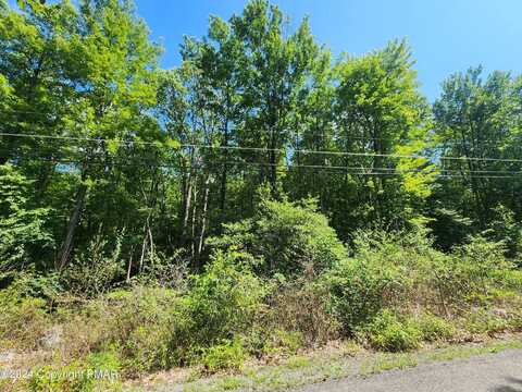 Lot A442A Cypress Dr, Jim Thorpe, PA 18229