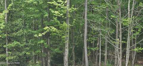 Lot 406 ASH Drive, Pocono Summit, PA 18346