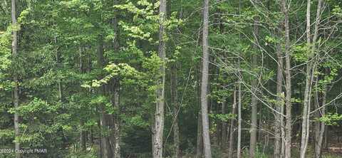 LOT 406 ASH Drive, Pocono Summit, PA 18346