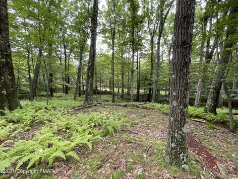 Lot 63 SKYLINE Drive, Canadensis, PA 18325