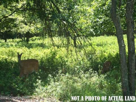 EV1126 Petrarch Trail & Cummings Lane, Albrightsville, PA 18210