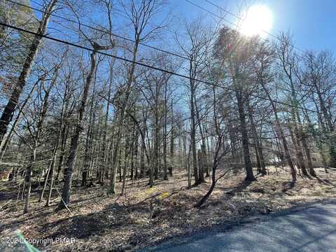 B14hf Tanglewood Drive, Albrightsville, PA 18210