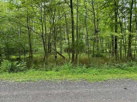 Rocky Swamp Road, Pocono Lake, PA 18610