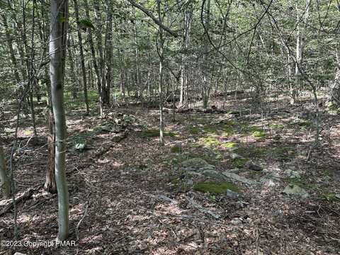 Lot 87 Sunfish Court, Canadensis, PA 18325