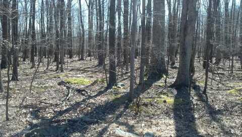 Lot 31,32 Lenape Drive, East Stroudsburg, PA 18302