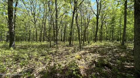 Lot 151 BEAR Drive, Bushkill, PA 18324