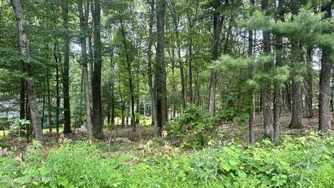 lot 609 Mikes Road, Bartonsville, PA 18321