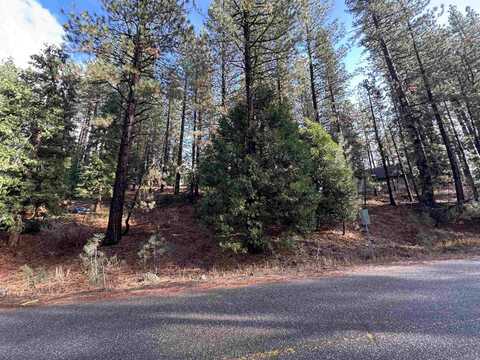 25 Maidu Trail, Graeagle, CA 96103