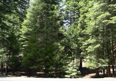 719 Peninsula Drive, Lake Almanor, CA 96137