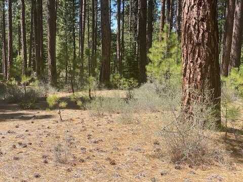 709 Redtail Loop, Clio, CA 96106