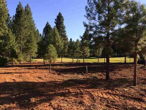 239 Flint Way, Lake Almanor, CA 96137