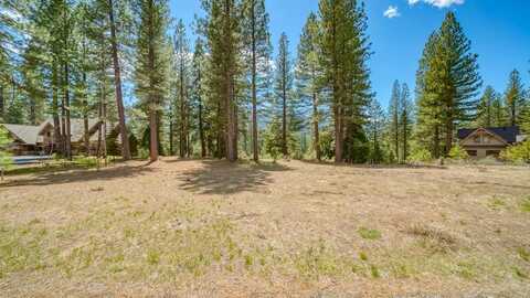 118 Saddle Ridge Road, Clio, CA 96106