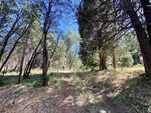 574 Crescent Street, Greenville, CA 95947