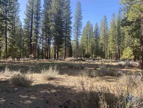 762 Redtail Loop, Clio, CA 96106