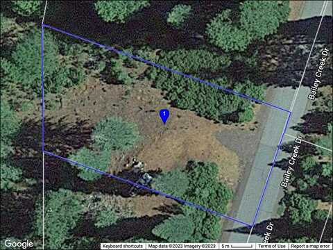 568 Bailey Creek Drive, Lake Almanor, CA 96137