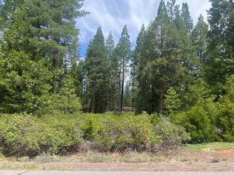 790 Red River Drive, Lake Almanor, CA 96137