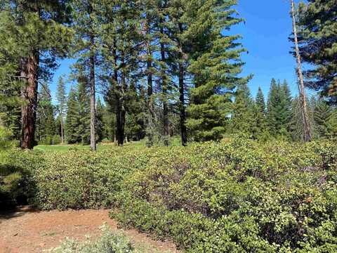 88 Vista Drive, Lake Almanor, CA 96137