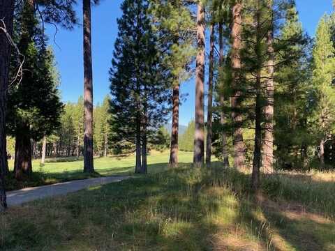 903 Prospector Drive, Clio, CA 96106