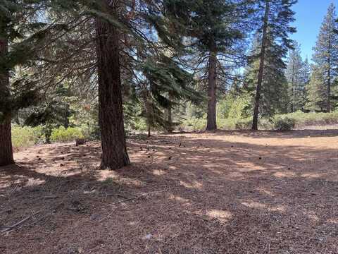 166 Fox Pine Drive, Lake Almanor, CA 96137