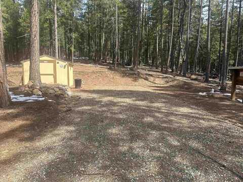 2517 Running Springs Lane, Quincy, CA 95971