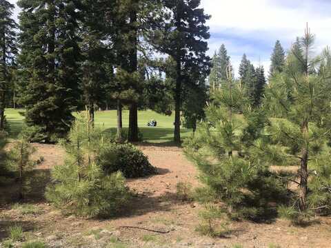 65 Winterwood Drive, Lake Almanor, CA 96137